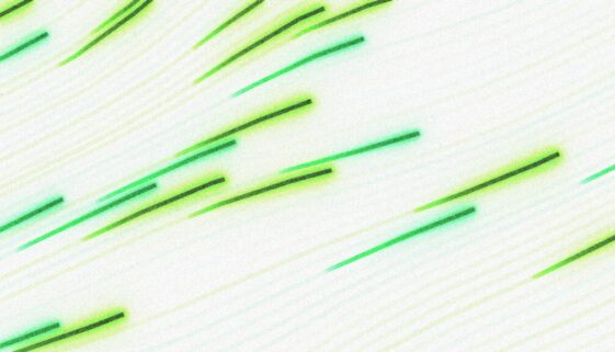 Sztuka jako język komunikacji - dlaczego jest tak uniwersalna?